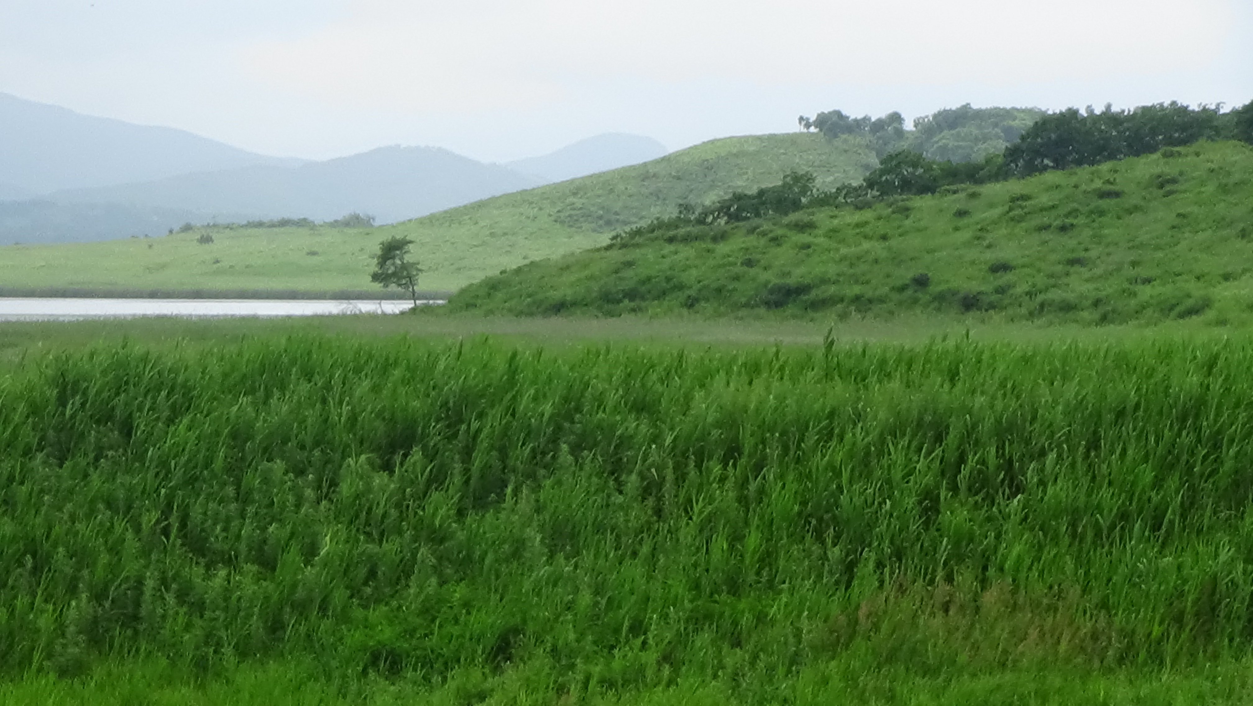 Karasye lake